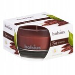 Bolsius Aromatic 2.0 bottle 80x50mm oud wood, scented candle 1×1 pc, scented candle