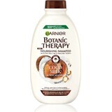 Garnier BOTANIC THERAPY COCOCO SHAMPOO 1×200 ml, Shampoo