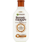 Garnier BOTANIC THERAPY COCOCO SHAMPOO 1×200 ml, Shampoo