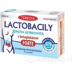 TEREZIA LACTOBACILY + USTRICOUS FUNGUS 1x10 cps, with beta-glucans FORTE