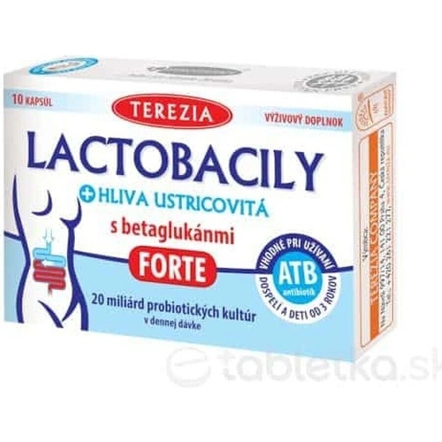 TEREZIA LACTOBACILY + USTRICOUS FUNGUS 1x10 cps, with beta-glucans FORTE