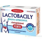 TEREZIA LACTOBACILY + USTRICOUS FUNGUS 1x10 cps, with beta-glucans FORTE