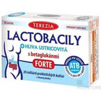 TEREZIA LACTOBACILY + USTRICOUS FUNGUS 1x10 cps, with beta-glucans FORTE