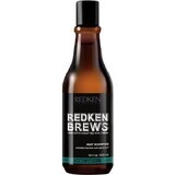 Redken Belebendes Haarshampoo mit Minze für Männerbrühen 1×300 ml, Shampoo