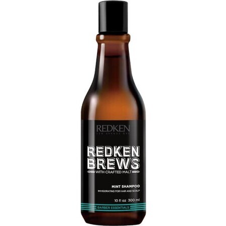 Redken Men's Invigorating Mint Hair Champú Brebajes 1×300 ml, champú