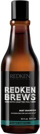 Redken Belebendes Haarshampoo mit Minze f&#252;r M&#228;nnerbr&#252;hen 1&#215;300 ml, Shampoo