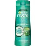 GARNIER GARNIER FRUCTIS AGUA DE COCONA champú 1×250ml, champú para el cabello