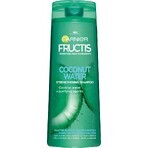 GARNIER GARNIER FRUCTIS AGUA DE COCONA champú 1×250ml, champú para el cabello