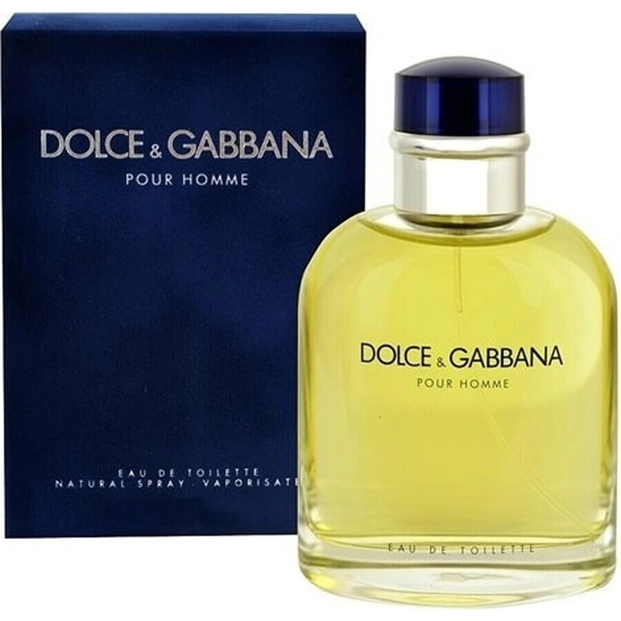 Dolce&Gabbana Pour Homme 2012 Edt 75ml 1×75 ml, Eau de Toilette