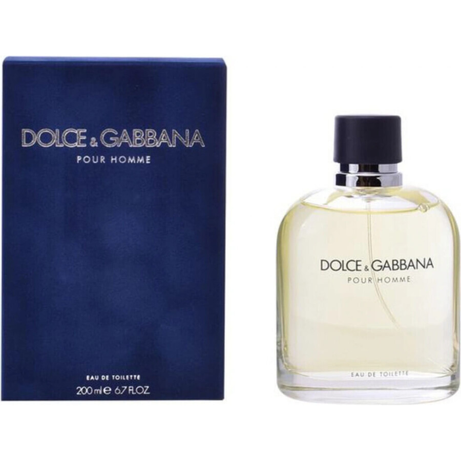 Dolce&Gabbana Pour Homme 2012 Edt 75ml 1×75 ml, Eau de Toilette