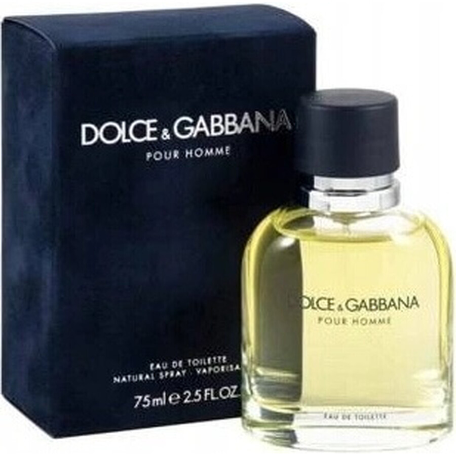 Dolce&Gabbana Pour Homme 2012 Edt 75ml 1×75 ml, Eau de Toilette