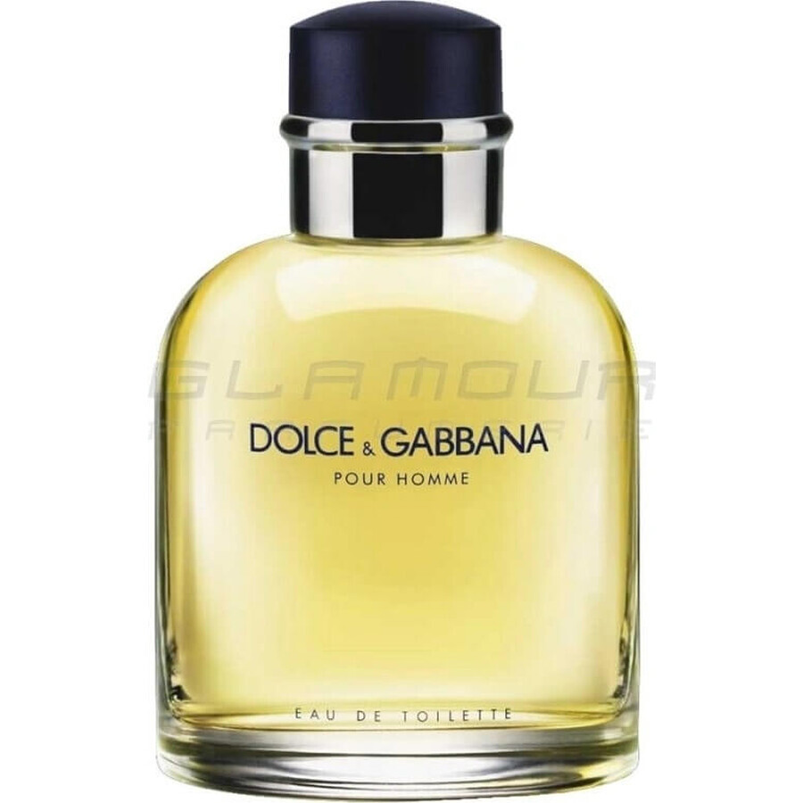 Dolce&Gabbana Pour Homme 2012 Edt 75ml 1×75 ml, Eau de Toilette