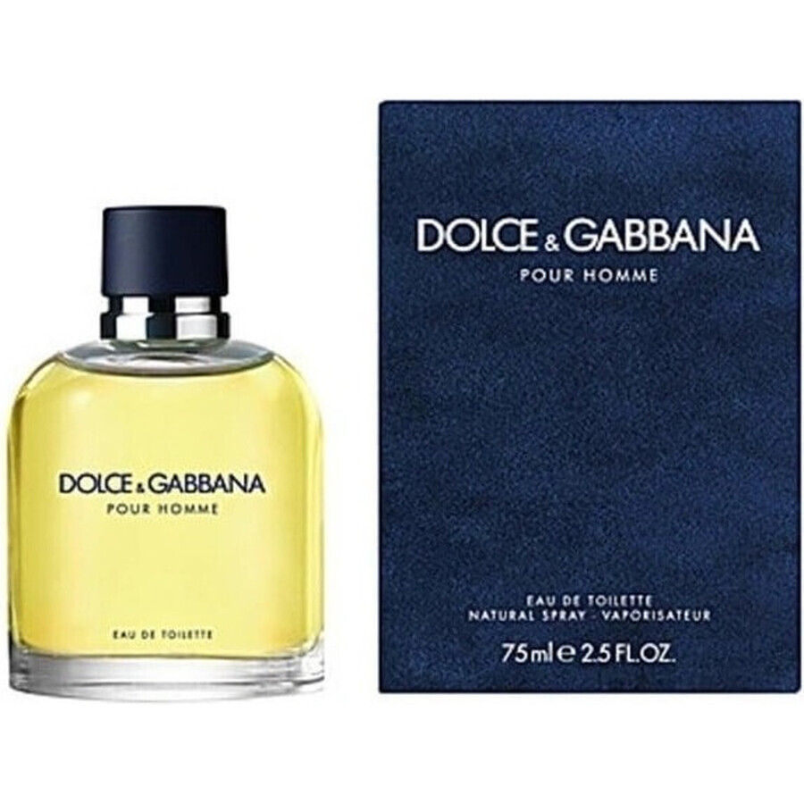 Dolce&Gabbana Pour Homme 2012 Edt 75ml 1×75 ml, Eau de Toilette