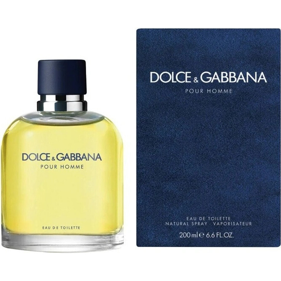 Dolce&Gabbana Pour Homme 2012 Edt 75ml 1×75 ml, Eau de Toilette