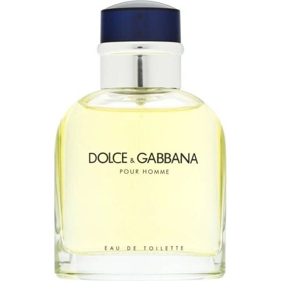 Dolce&Gabbana Pour Homme 2012 Edt 75ml 1×75 ml, Eau de Toilette