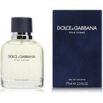 Dolce&Gabbana Pour Homme 2012 Edt 75ml 1×75 ml, Eau de Toilette