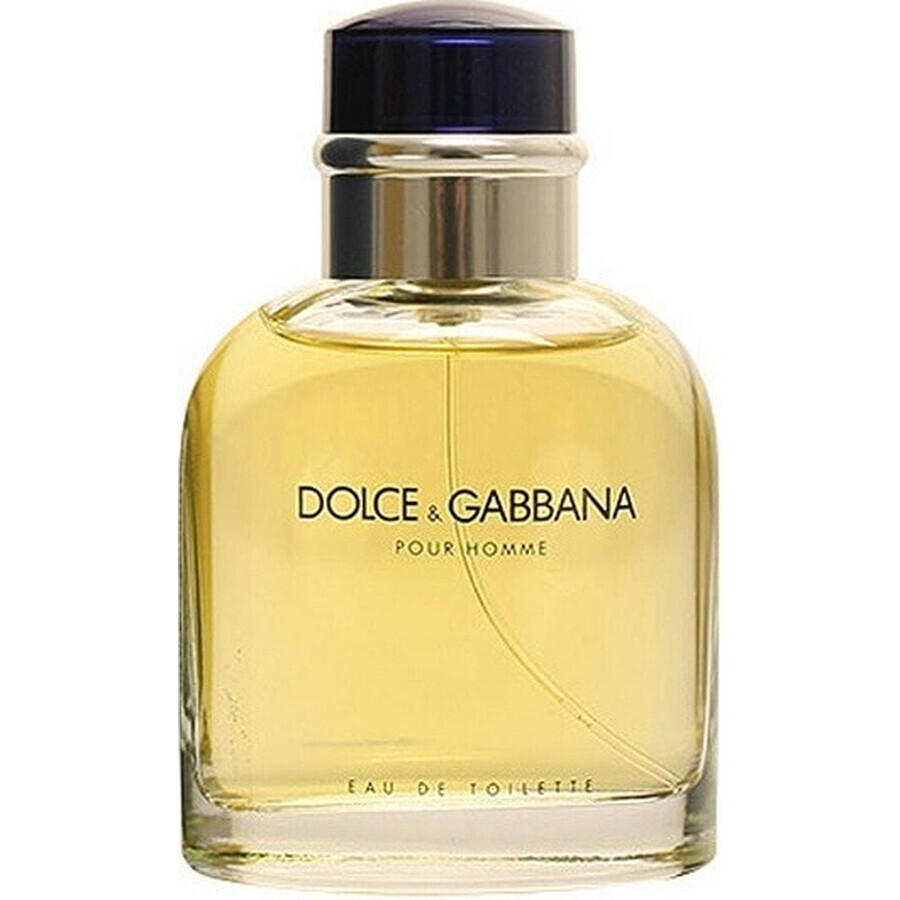 Dolce&Gabbana Pour Homme 2012 Edt 75ml 1×75 ml, Eau de Toilette