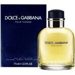 Dolce&Gabbana Pour Homme 2012 Edt 75ml 1×75 ml, Eau de Toilette