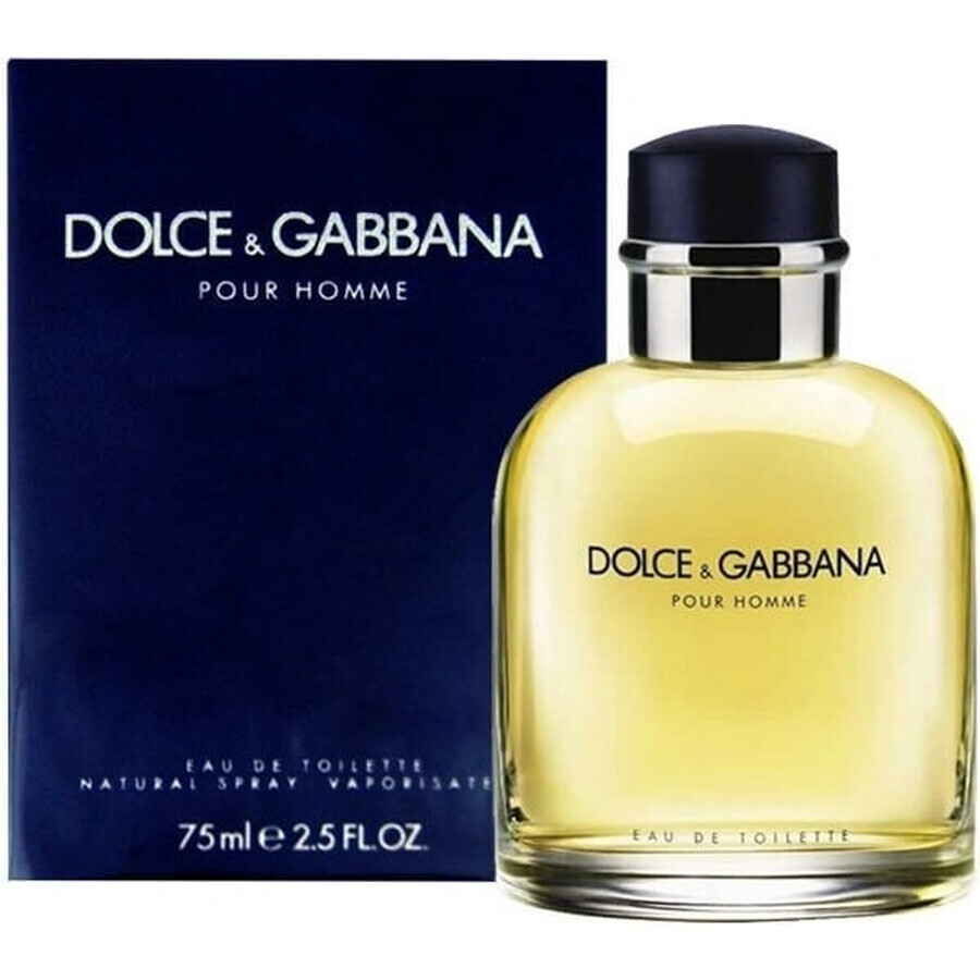 Dolce&Gabbana Pour Homme 2012 Edt 75ml 1×75 ml, Eau de Toilette