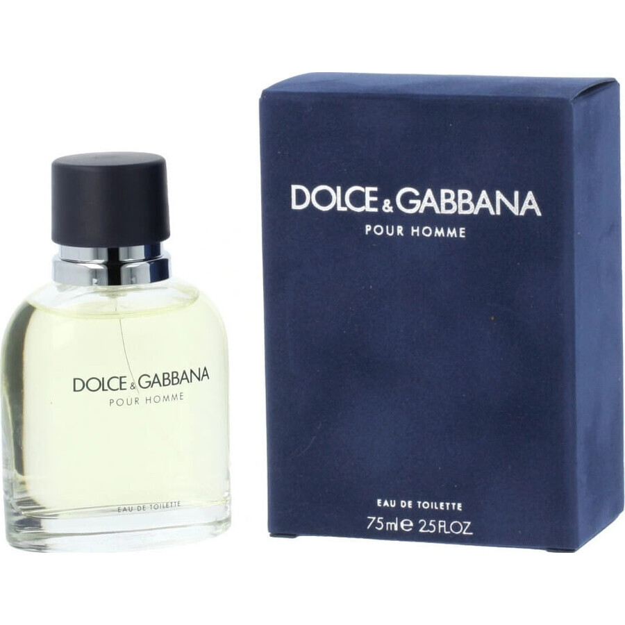 Dolce&Gabbana Pour Homme 2012 Edt 75ml 1×75 ml, Eau de Toilette