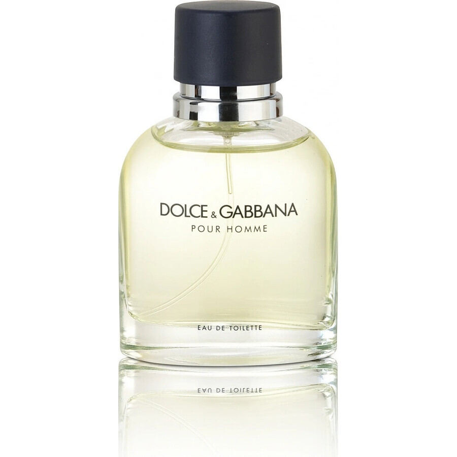 Dolce&Gabbana Pour Homme 2012 Edt 75ml 1×75 ml, Eau de Toilette