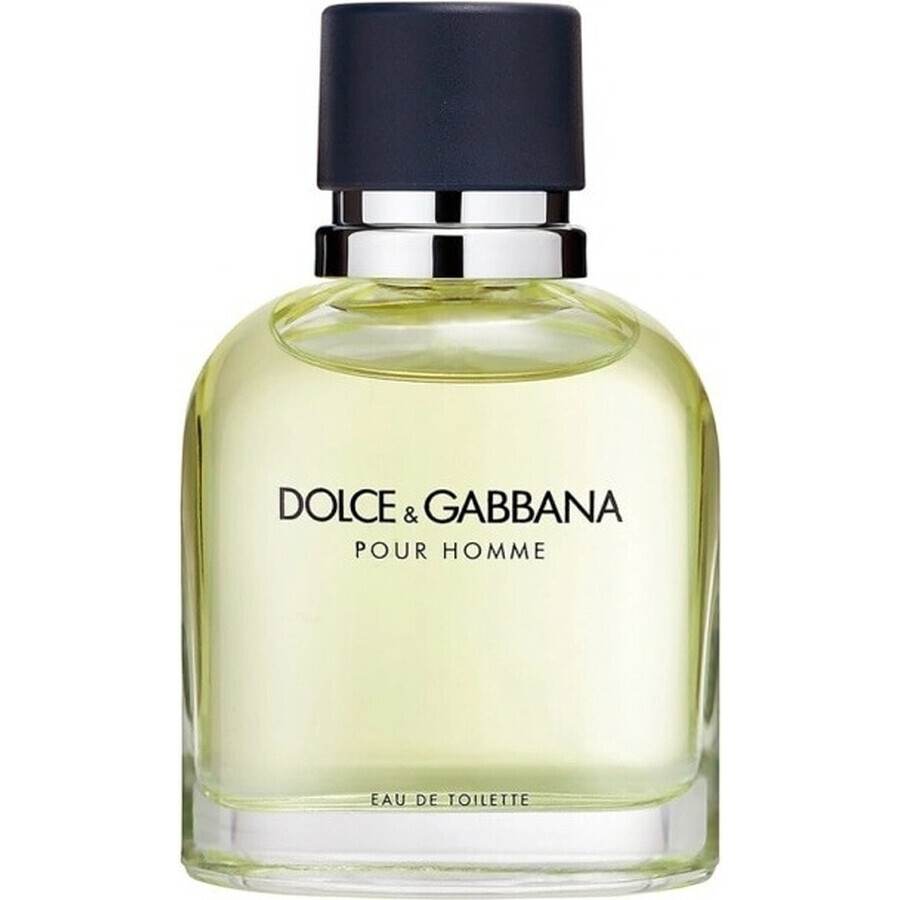 Dolce&Gabbana Pour Homme 2012 Edt 75ml 1×75 ml, Eau de Toilette