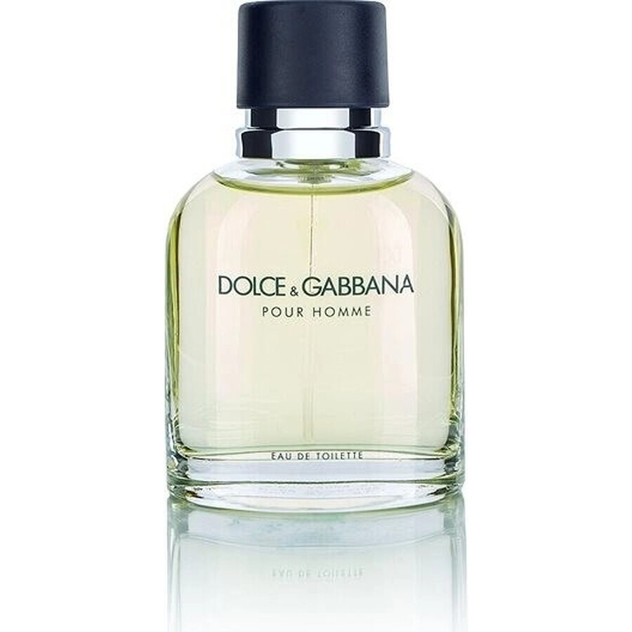 Dolce&Gabbana Pour Homme 2012 Edt 75ml 1×75 ml, Eau de Toilette