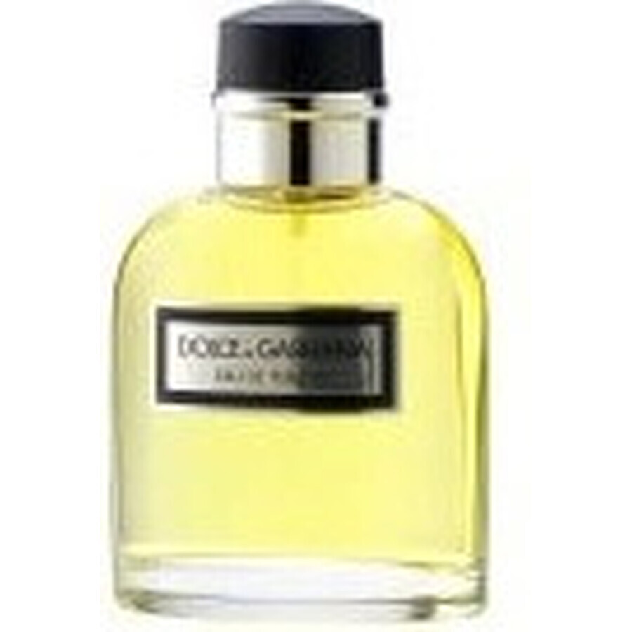 Dolce&Gabbana Pour Homme 2012 Edt 75ml 1×75 ml, Eau de Toilette