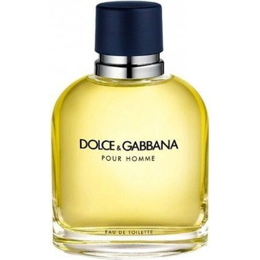 Dolce&Gabbana Pour Homme 2012 Edt 75ml 1×75 ml, Eau de Toilette