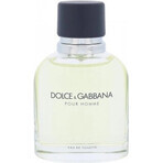 Dolce&Gabbana Pour Homme 2012 Edt 75ml 1×75 ml, Eau de Toilette