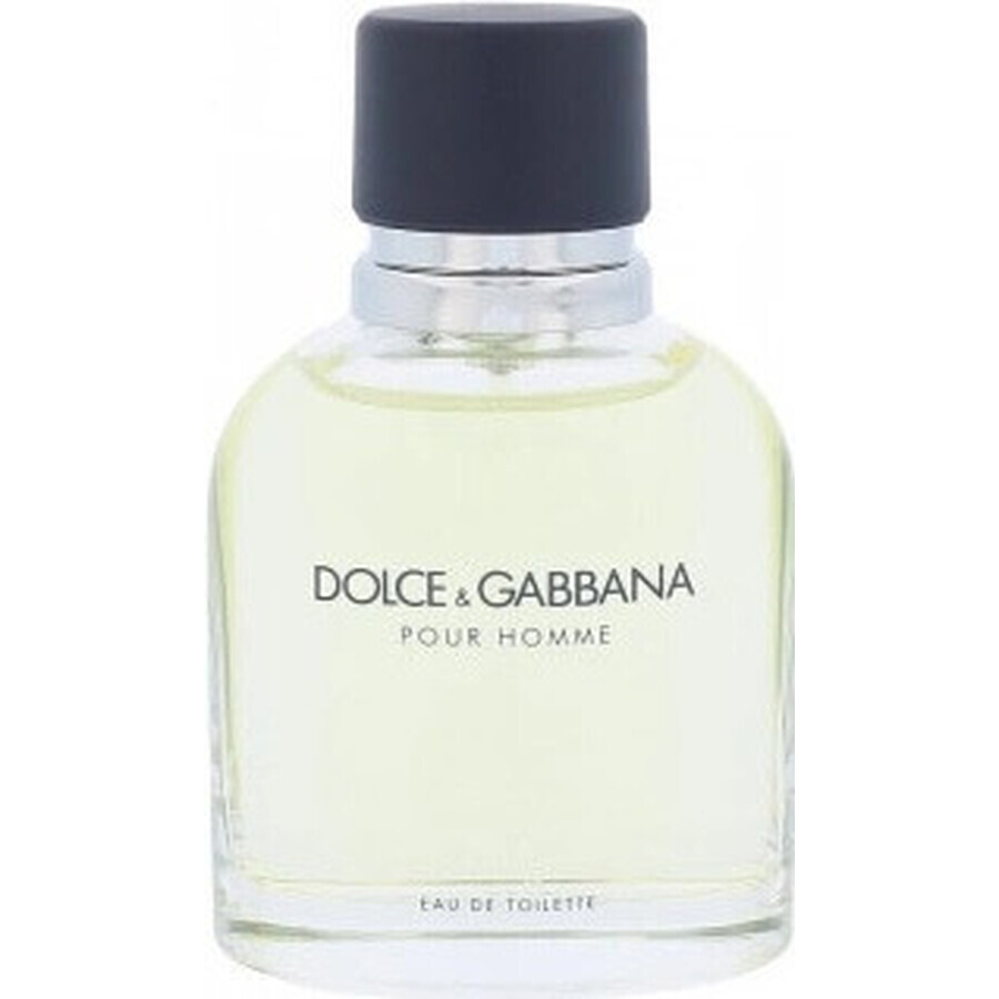 Dolce&Gabbana Pour Homme 2012 Edt 75ml 1×75 ml, Eau de Toilette