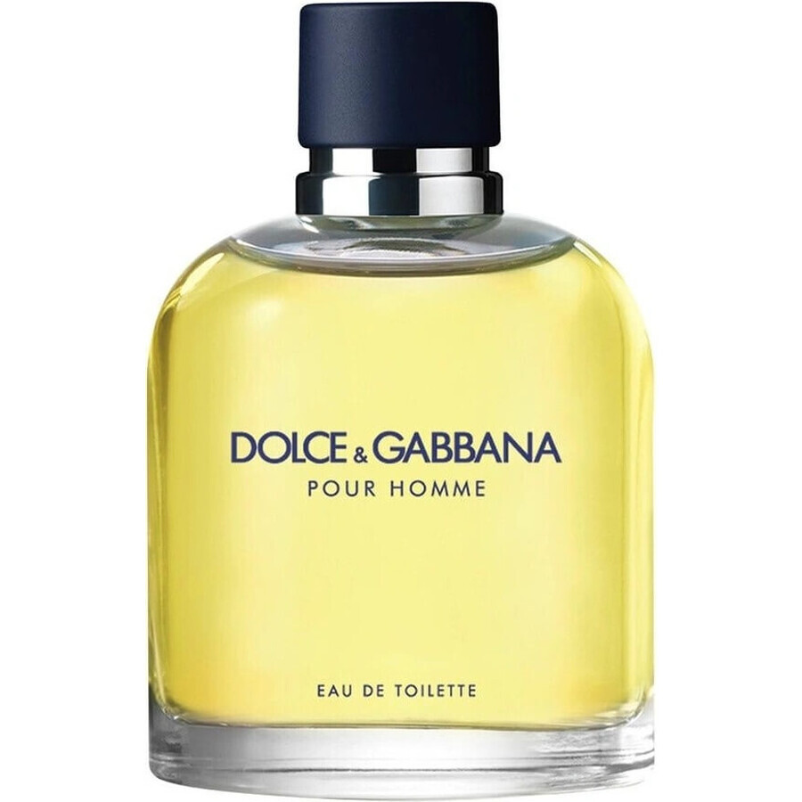 Dolce&Gabbana Pour Homme 2012 Edt 75ml 1×75 ml, Eau de Toilette