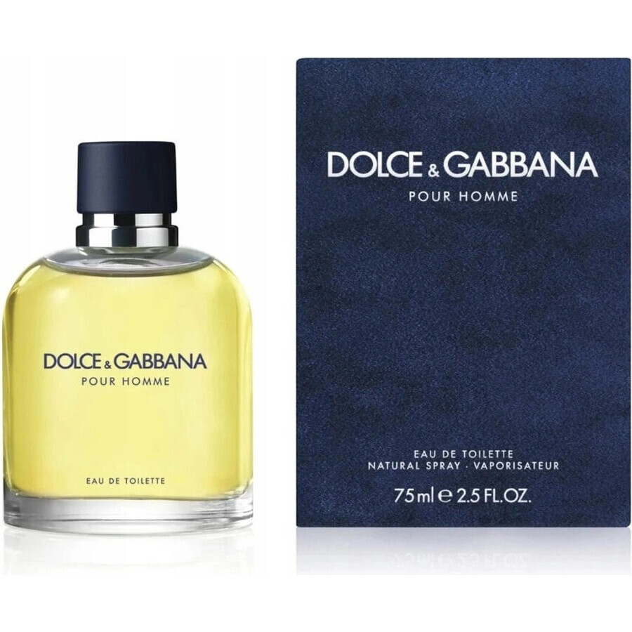 Dolce&Gabbana Pour Homme 2012 Edt 75ml 1×75 ml, Eau de Toilette