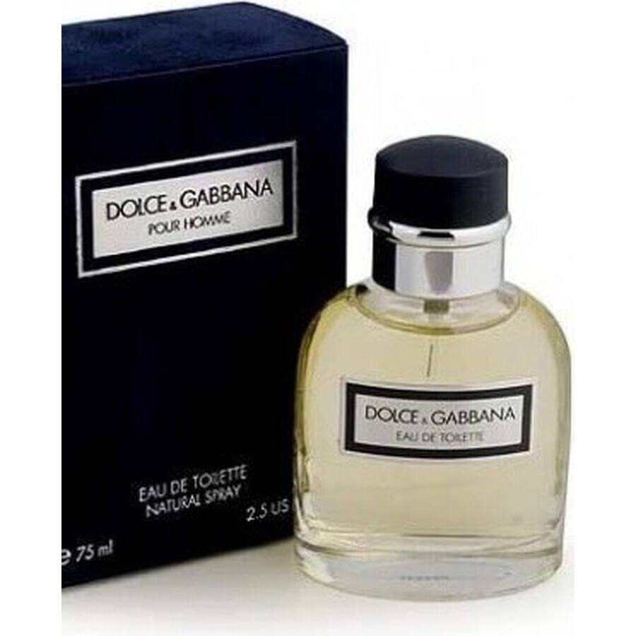 Dolce&Gabbana Pour Homme 2012 Edt 75ml 1×75 ml, Eau de Toilette