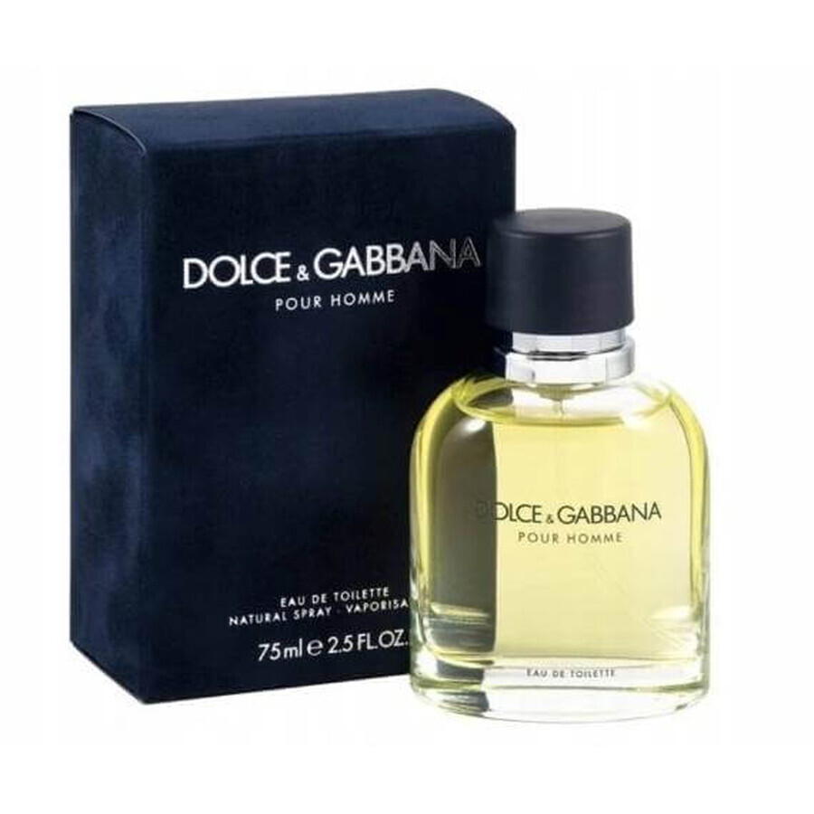 Dolce&Gabbana Pour Homme 2012 Edt 75ml 1×75 ml, Eau de Toilette