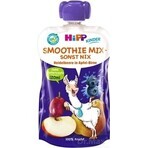 HiPP BIO Smoothie MIX Apple Pear Blueberries 1×120 ml, fruit and vegetables, 12m+