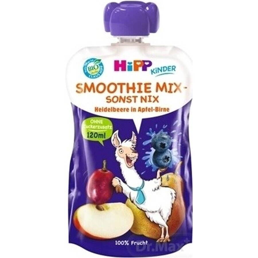 HiPP BIO Smoothie MIX Apple Pear Blueberries 1×120 ml, fruit and vegetables, 12m+