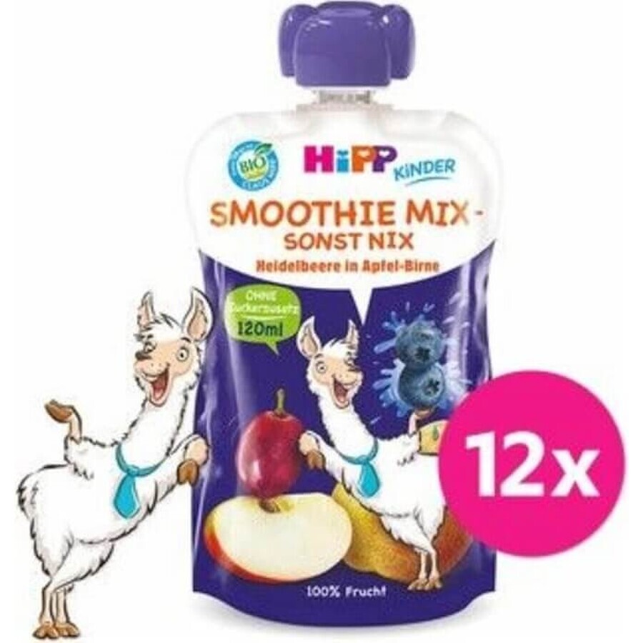 HiPP BIO Smoothie MIX Apple Pear Blueberries 1×120 ml, fruit and vegetables, 12m+