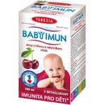 TEREZIA BABY IMMUN siroop met meidoorn en duindoorn 1×100 ml, voedingssupplement