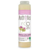 Eco Organic Shampoo für fettiges Haar mit Klette und Rosmarin, 250 ml, Anthyllis