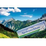 Primavera Alpenkräuter Balsam 1×200 ml, Alpine Herbal Balm