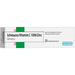 MedPharma ECHINACEA 50 mg + Vitamine C + Zinc 1×20 tbl