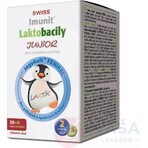 SWISS Lactobacilli JUNIOR Immunit + Vitamin D3 30+6 Tbl. 1×36 Tbl, Vitamine