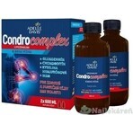 Adelle Davis CONDROCOMPLEX Liposomal Joint Nutrition 2×500 ml, food supplement