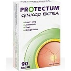 PROTECTUM GINKGO EXTRA 1×90 cápsulas, ginkgo