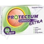 PROTECTUM GINKGO EXTRA 1×90 cápsulas, ginkgo