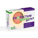 PROTECTUM GINKGO EXTRA 1×90 cápsulas, ginkgo