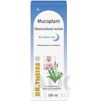 Mucoplant Plantain solution Good Night Plantain solution 1×100 ml