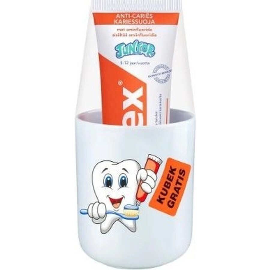 ELMEX JUNIOR TOOTH PASTE 1×75 ml, Zahnpasta für Kinder