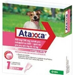 Ataxxa 500 mg/100 mg (cani da 4 kg a 10 kg) 1×1 ml, soluzione per cani